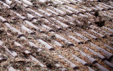 Speed Gate roof cleaning companies